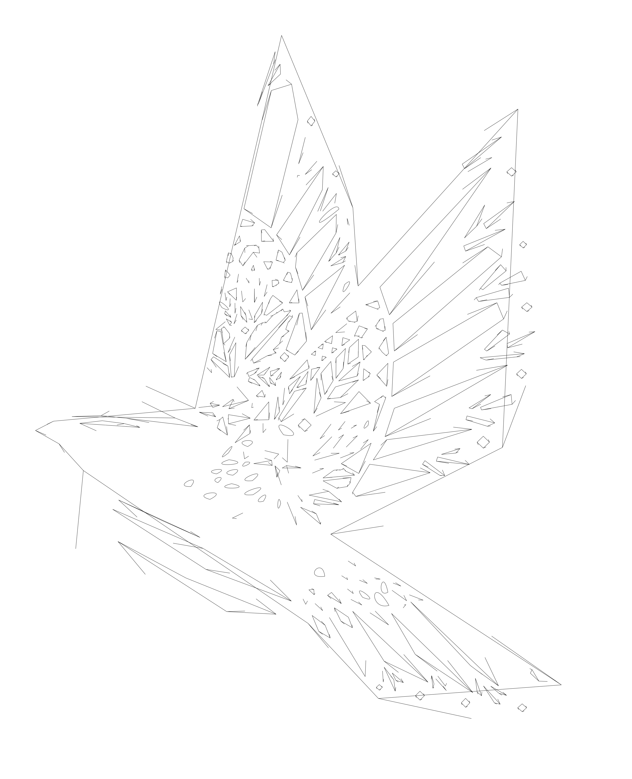 Nature/Bird Floral.png